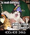 Click image for larger version

Name:	is-mah-birfday-where-r-caek-dammit.jpg
Views:	1381
Size:	34.1 KB
ID:	1598
