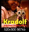 Click image for larger version

Name:	kradolf.png
Views:	887
Size:	566.6 KB
ID:	1344