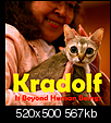 Click image for larger version

Name:	kradolf.png
Views:	796
Size:	566.6 KB
ID:	1344