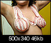 Click image for larger version

Name:	bacon-bra-01.jpg
Views:	3229
Size:	45.8 KB
ID:	1474