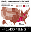 Click image for larger version

Name:	fat.gif
Views:	819
Size:	47.5 KB
ID:	1351