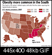 Click image for larger version

Name:	fat.gif
Views:	727
Size:	47.5 KB
ID:	1351